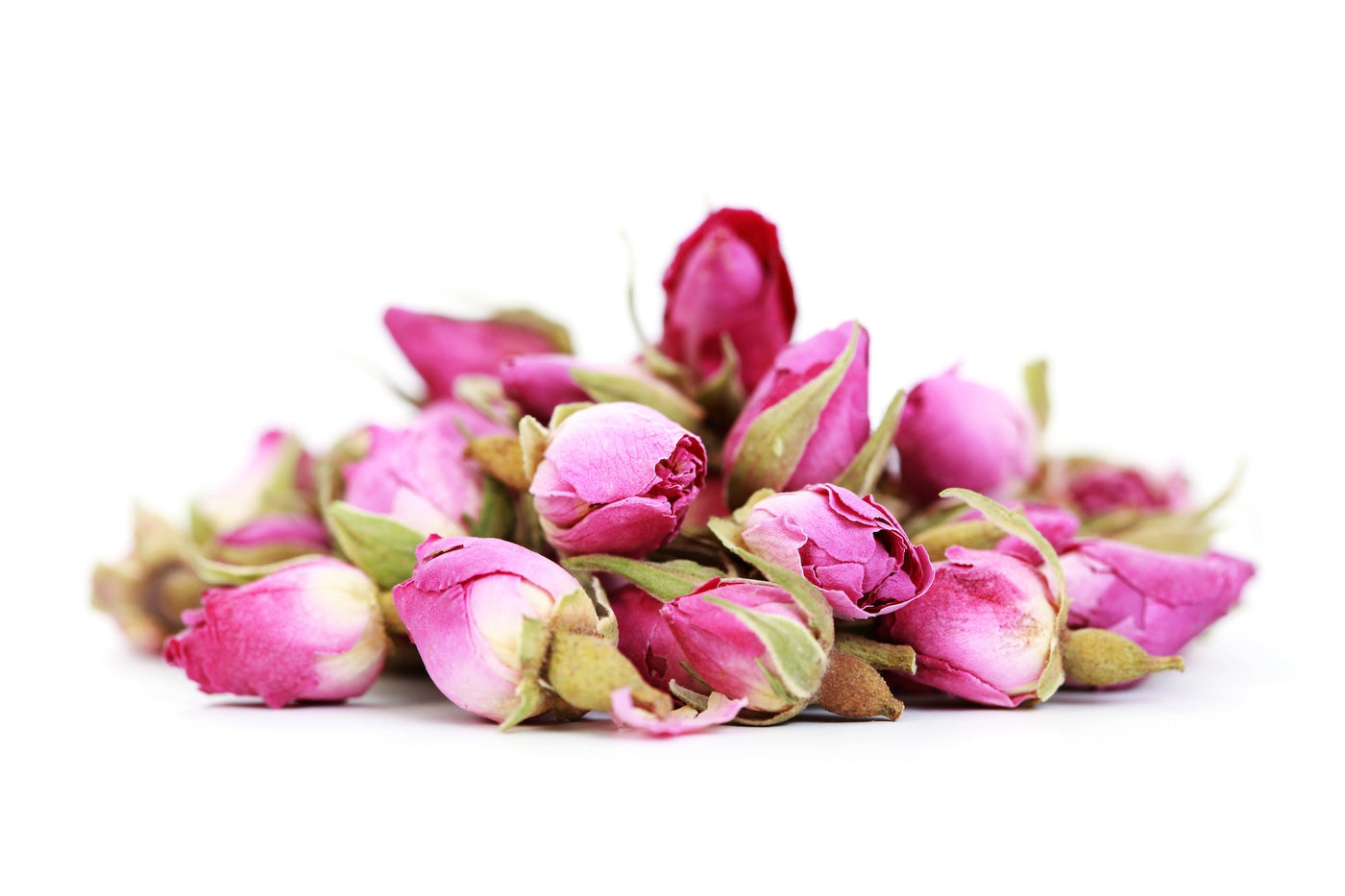 Rose buds - Pink