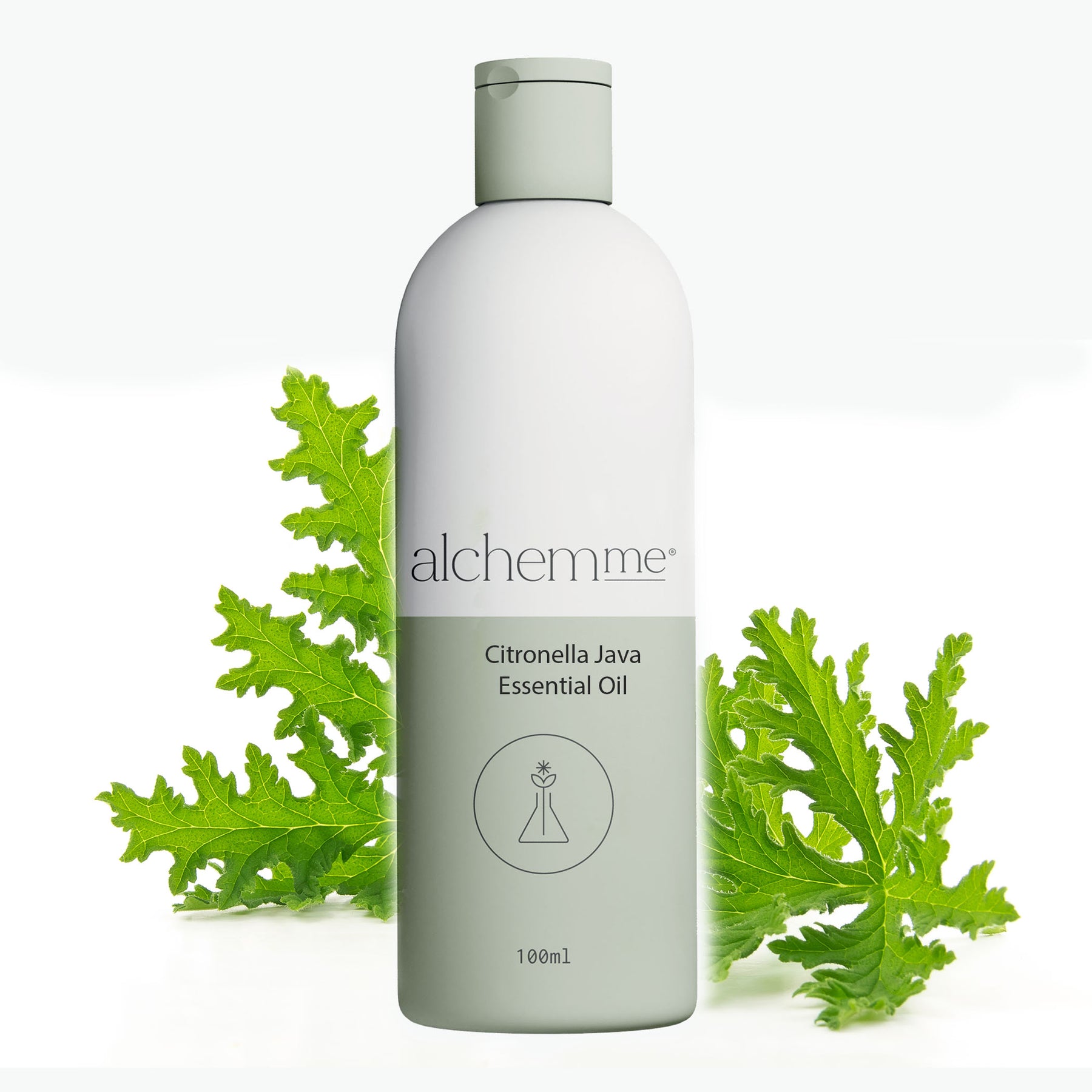 Citronella Oil Java Essential Oil – Alchemme