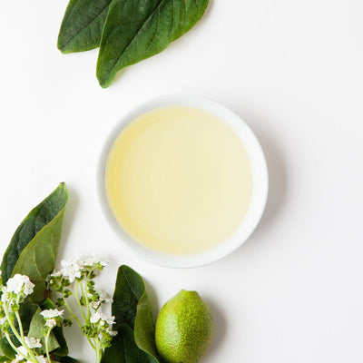 Borage Seed Oil (refined)